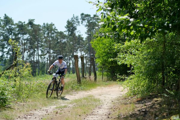 Quels sont les effets de la mondialisation sur les compétitions sportives ?